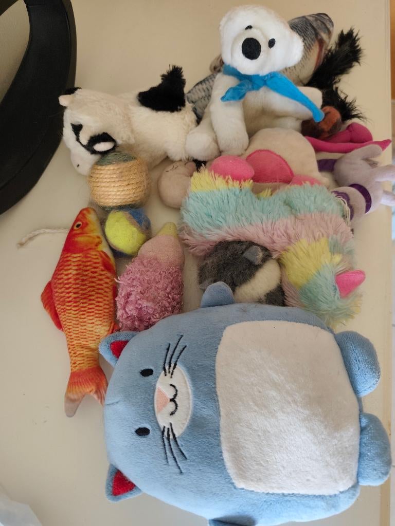 Katten speelgoed, Ophalen