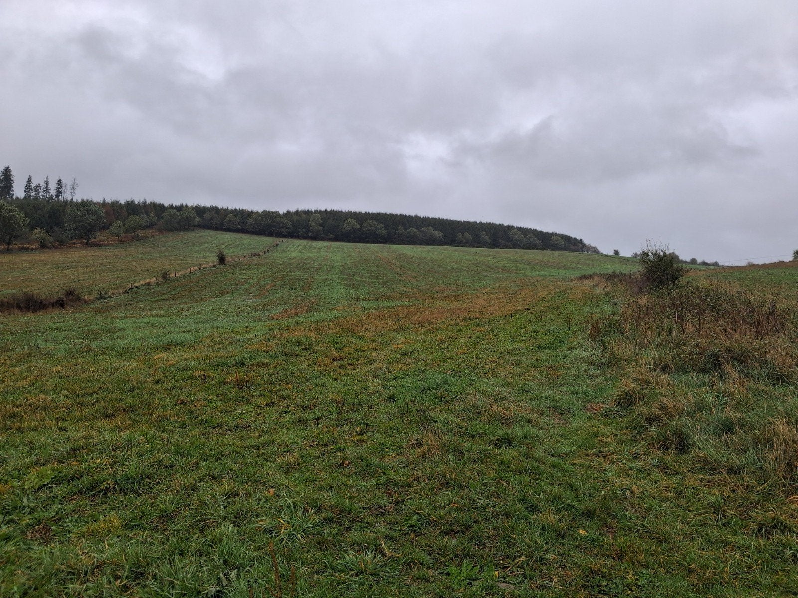 terrain agricole à vendre à Houffalize Nadrin sans loyer, Houffalize, Ventes sans courtier, 1500 m² ou plus