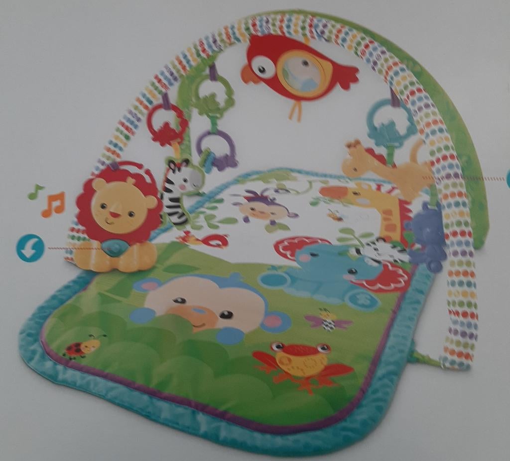 Activity Gym ( 0+) Fisher Price, Kinderen en Baby's, Ophalen, Zo goed als nieuw, Overige typen, Met geluid