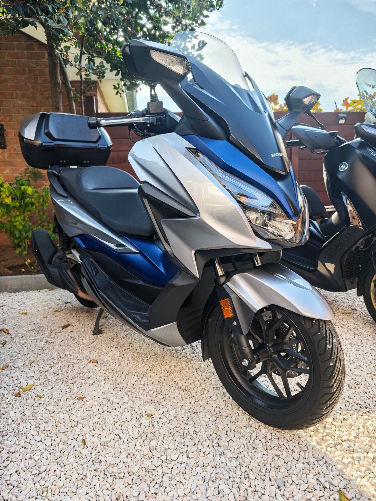 2021 Honda forza 125/Uitstekende staat, Fietsen en Brommers, Zo goed als nieuw, Benzine, 125 cc, Ophalen of Verzenden