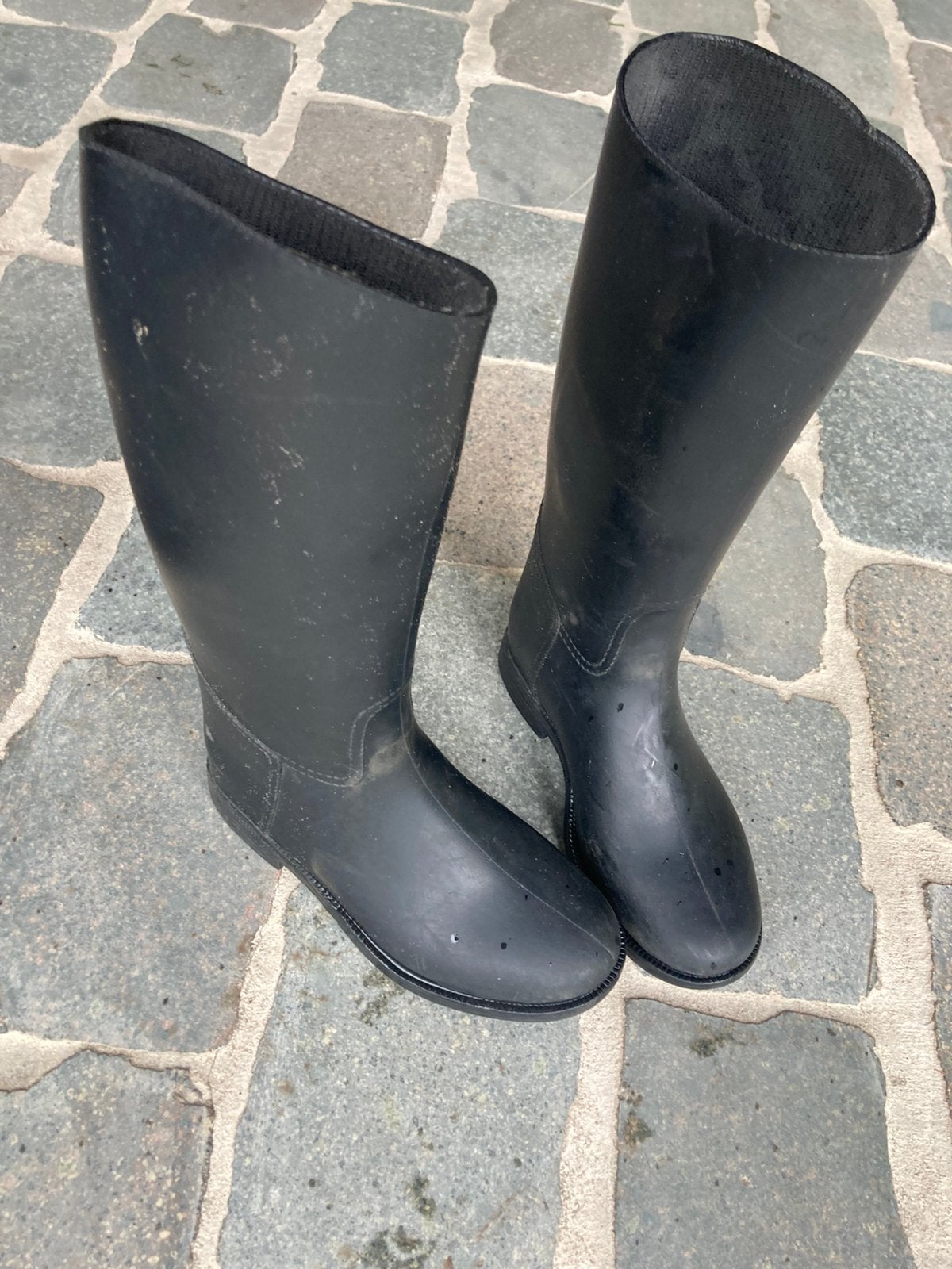 Rijlaars, Dieren en Toebehoren