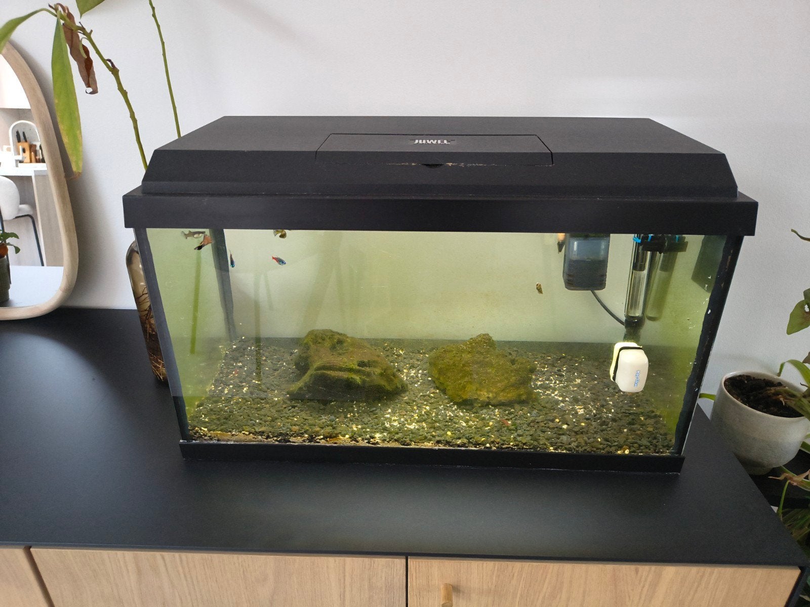 vissen + aquarium + toebehoren, Dieren en Toebehoren, Ophalen, Verwarming, Filter, Tetra