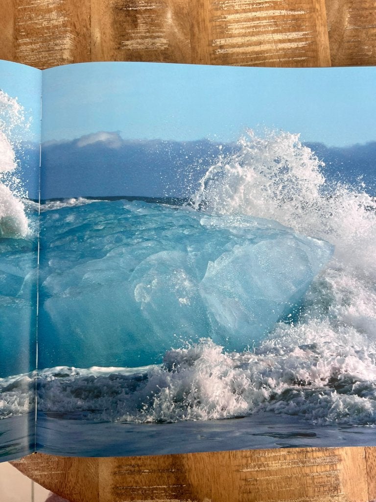 Witte Wereld - Jan Vermeer, Ophalen of Verzenden, Zo goed als nieuw, Natuur algemeen, Jan Vermeer