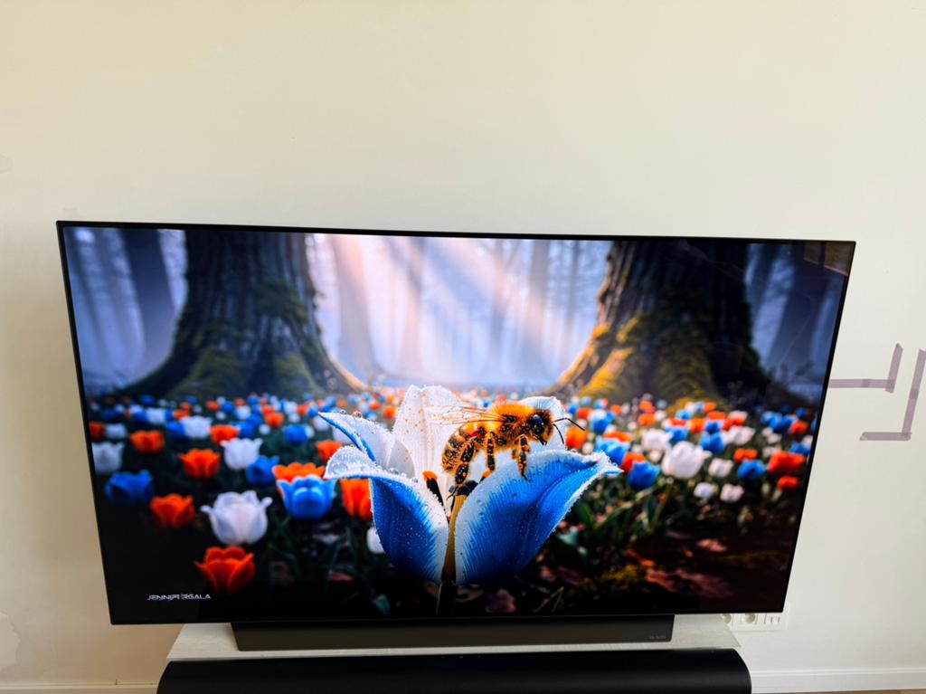 LG OLED C9 65 Inch - OLED65C9PLA, Comme neuf, Enlèvement, 100 cm ou plus, 4k (UHD)