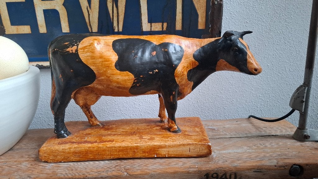 div. schedel opgezette dieren taxidermie anatomische modelen, Verzamelen, Ophalen, Gebruikt, Overige soorten, Schedel