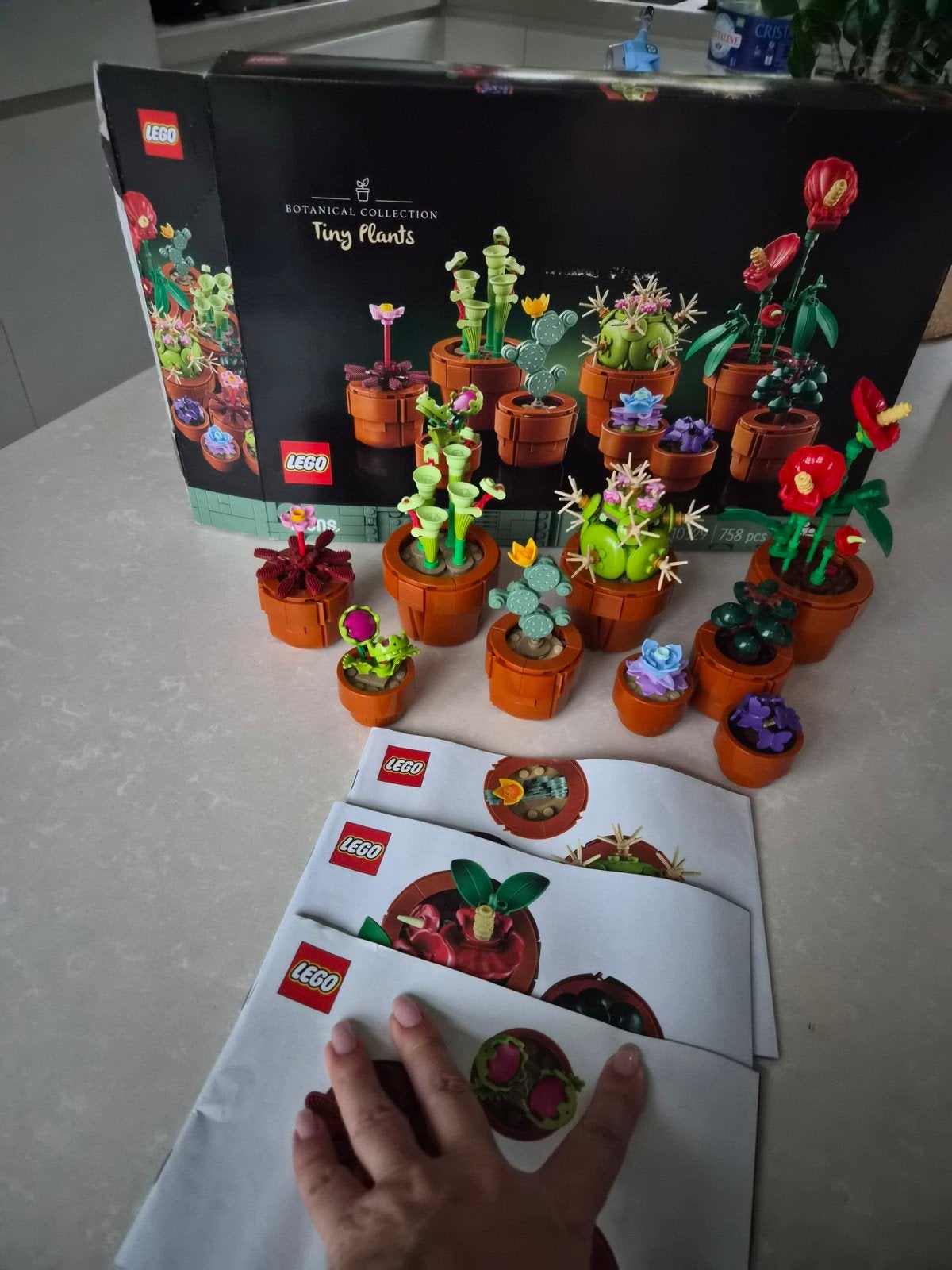 Lego zie omschrijving, Enlèvement