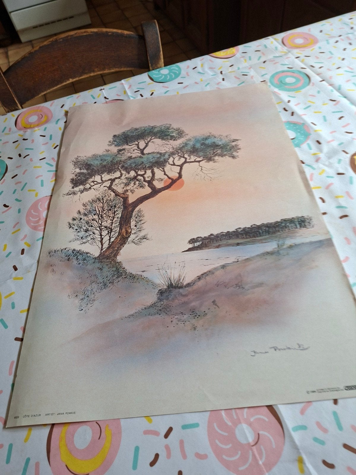 Affiche 60cm x 42cm., Antiquités & Art, Art | Dessins & Photographie, Enlèvement ou Envoi, Affiche
