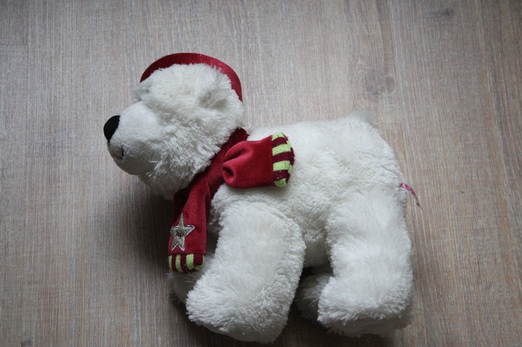 pluchen beer, Ophalen, Beer, Nieuw, Middelgroot (20 tot 80 cm)