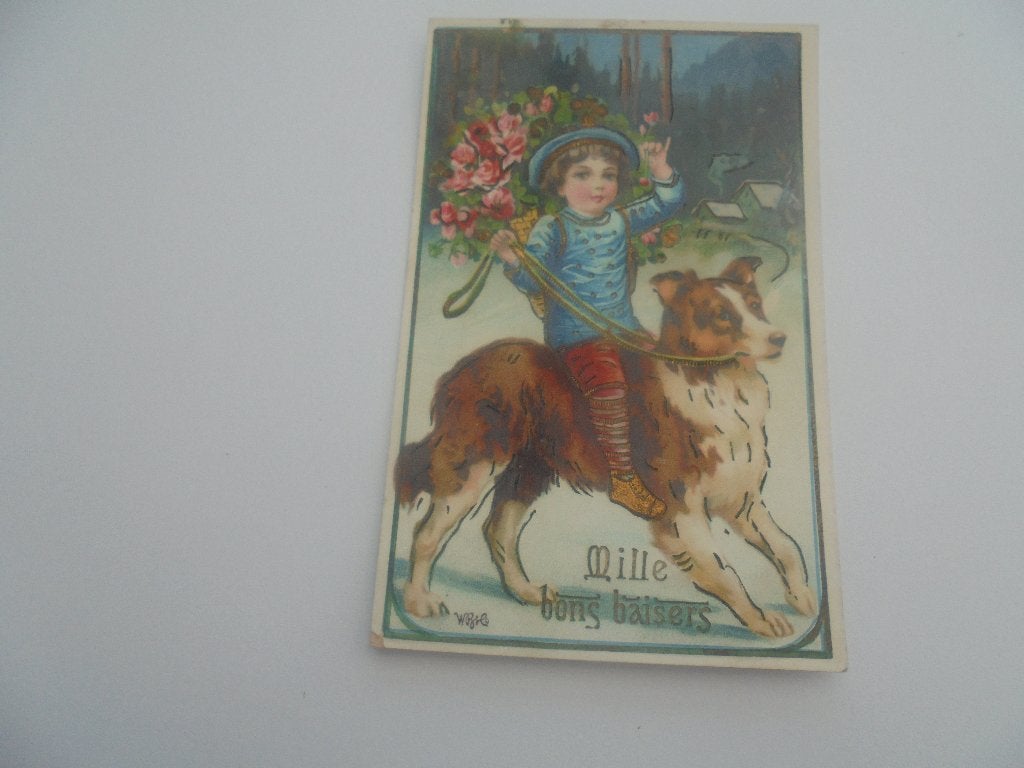 honden - 10 postkaarten, Verzamelen, Verzenden, 1940 tot 1960, Gelopen, Hond of Kat
