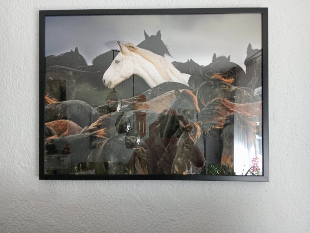 Paarden schilderij, Enlèvement ou Envoi