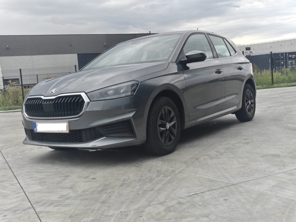 Skoda Fabia, Argent ou Gris, Achat, Euro 6, 1194 kg