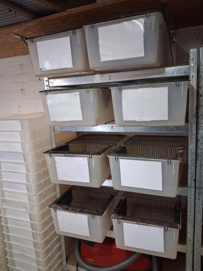 20 labo baken, Ophalen, Gebruikt, Muis