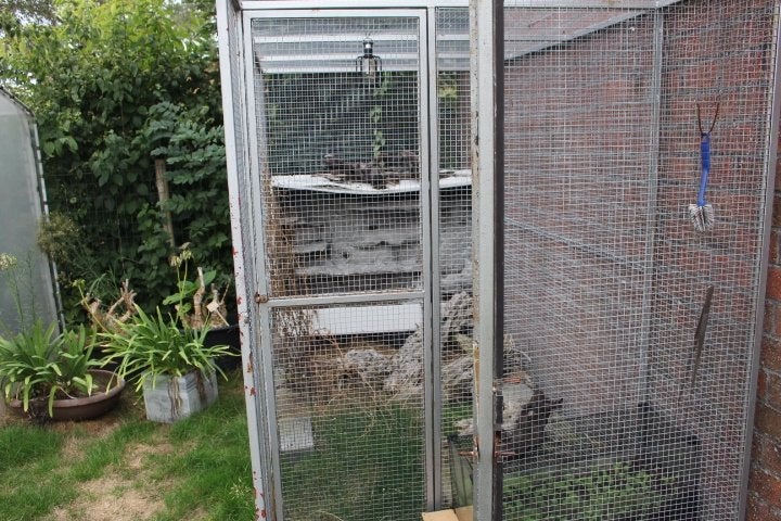 Volière ou cage à oiseaux, Enlèvement, Utilisé, Métal, Volière