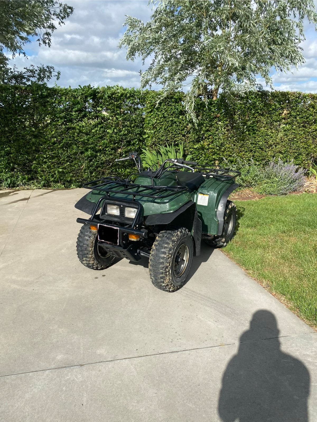 Yamaha bear tracker 250, Motoren