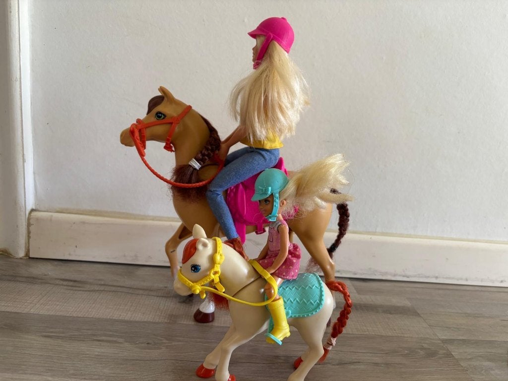 Set Barbie équitation, Enlèvement ou Envoi, Utilisé
