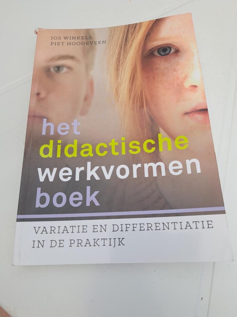 Het didactische werkvormenboek Piet hoogeveen, Boeken, Ophalen of Verzenden, Piet Hoogeveen; Jos Winkels