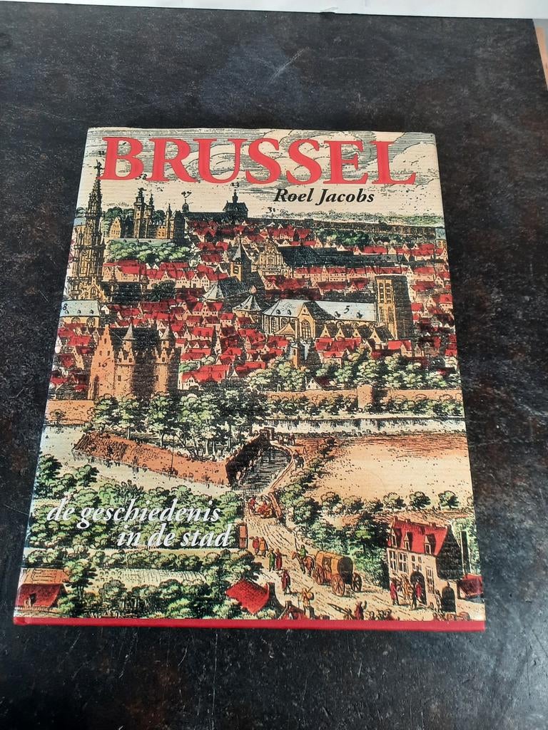 Brussel: De geschiedenis in de stad - Roel Jacobs 1994, Boeken, Geschiedenis | Nationaal, Gelezen, Ophalen of Verzenden