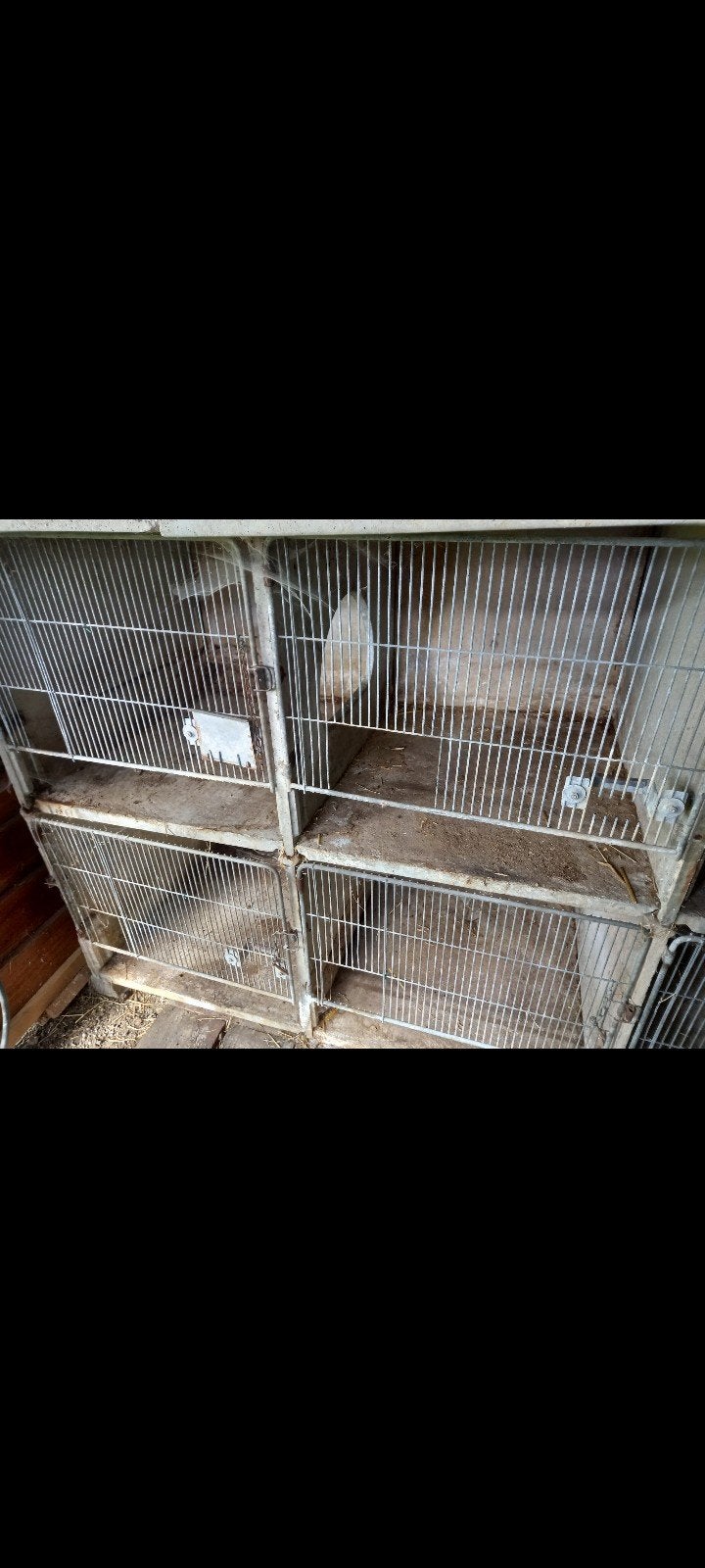 clapier béton pour lapin, Animaux & Accessoires, Utilisé