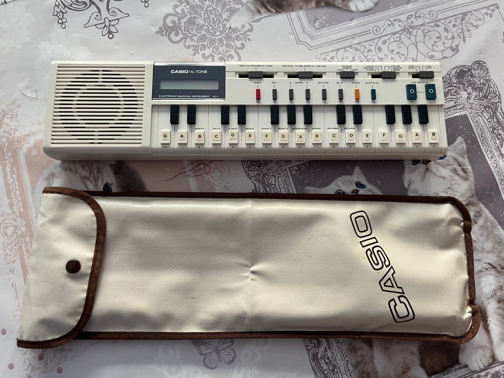 Casio VL-Tone. V1, Muziek en Instrumenten, Ophalen, Gebruikt, Casio