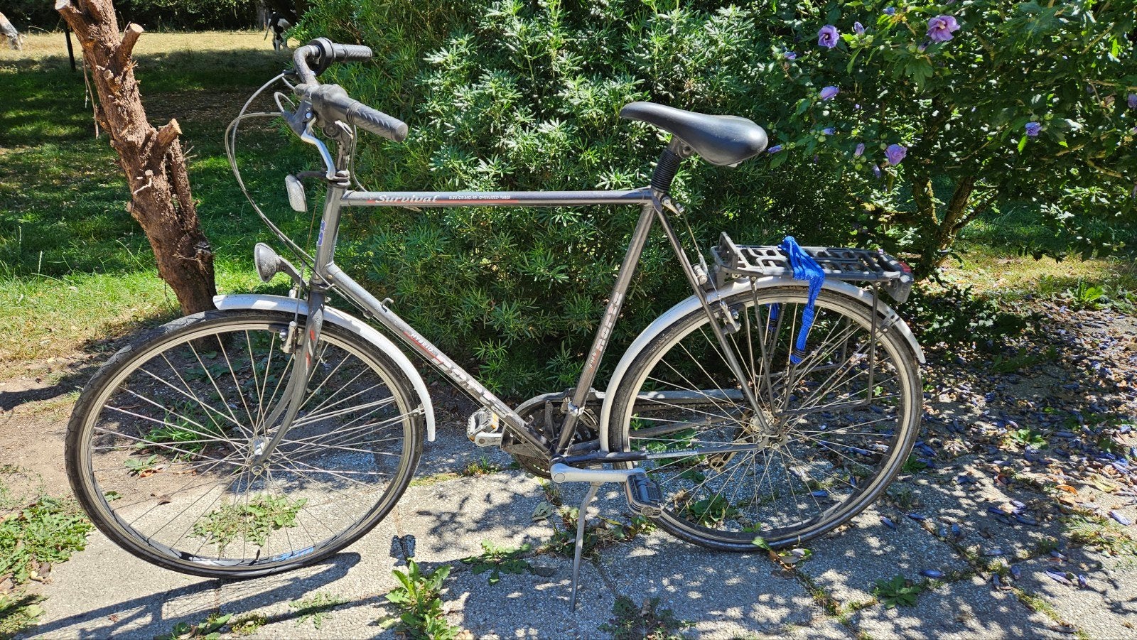 Herenfiets, Enlèvement