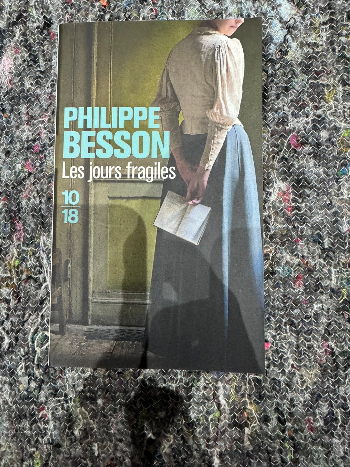 Les jours fragiles livre NEUF Philippe Besson, Enlèvement ou Envoi, Neuf