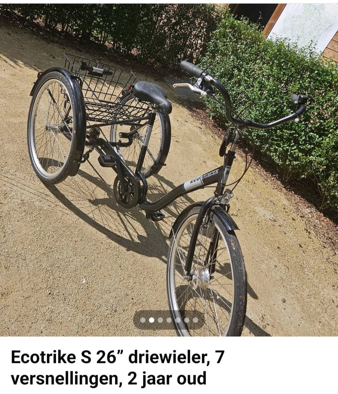 Driewielfiets te koop voor een prijsje! In topstaat, Fietsen en Brommers, Fietsen | Driewielfietsen, Ophalen, Gebruikt