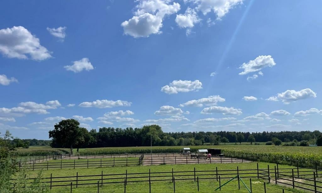 Volpaardenpension op ons Doederijtje!, Weidegang