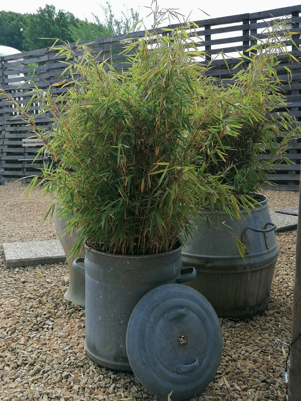 Zinken steriliseerbak met deksel met bamboo erin, Ophalen, Rond
