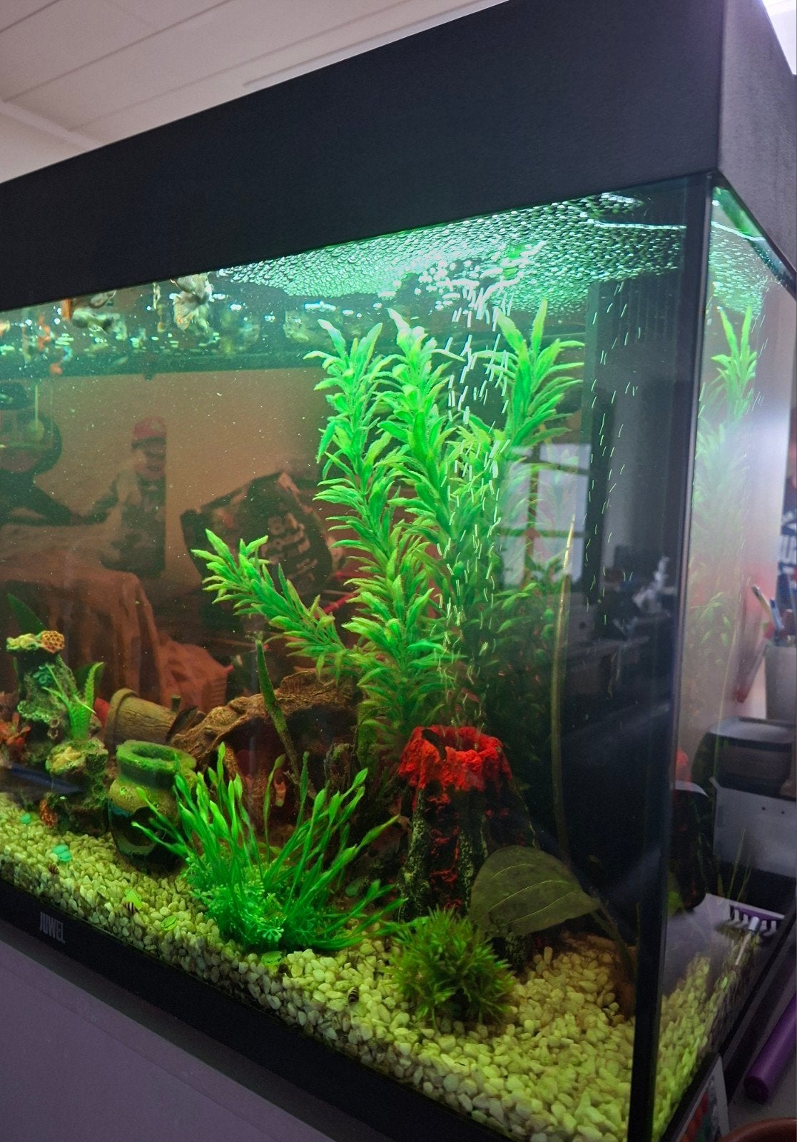 Juwel aquarium 180 liter, met vissen en veel extra's, Ophalen, Gebruikt, Gevuld zoetwateraquarium, Inclusief controller