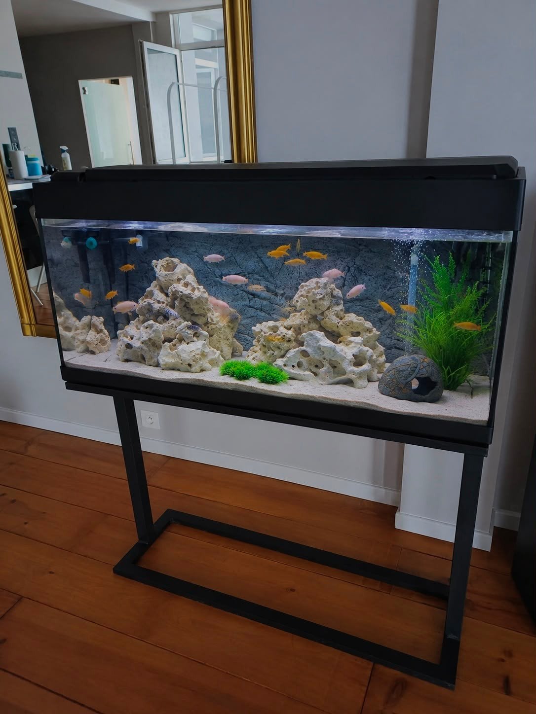 Aquarium + statief, Ophalen, Inclusief toebehoren, Zo goed als nieuw, Leeg aquarium