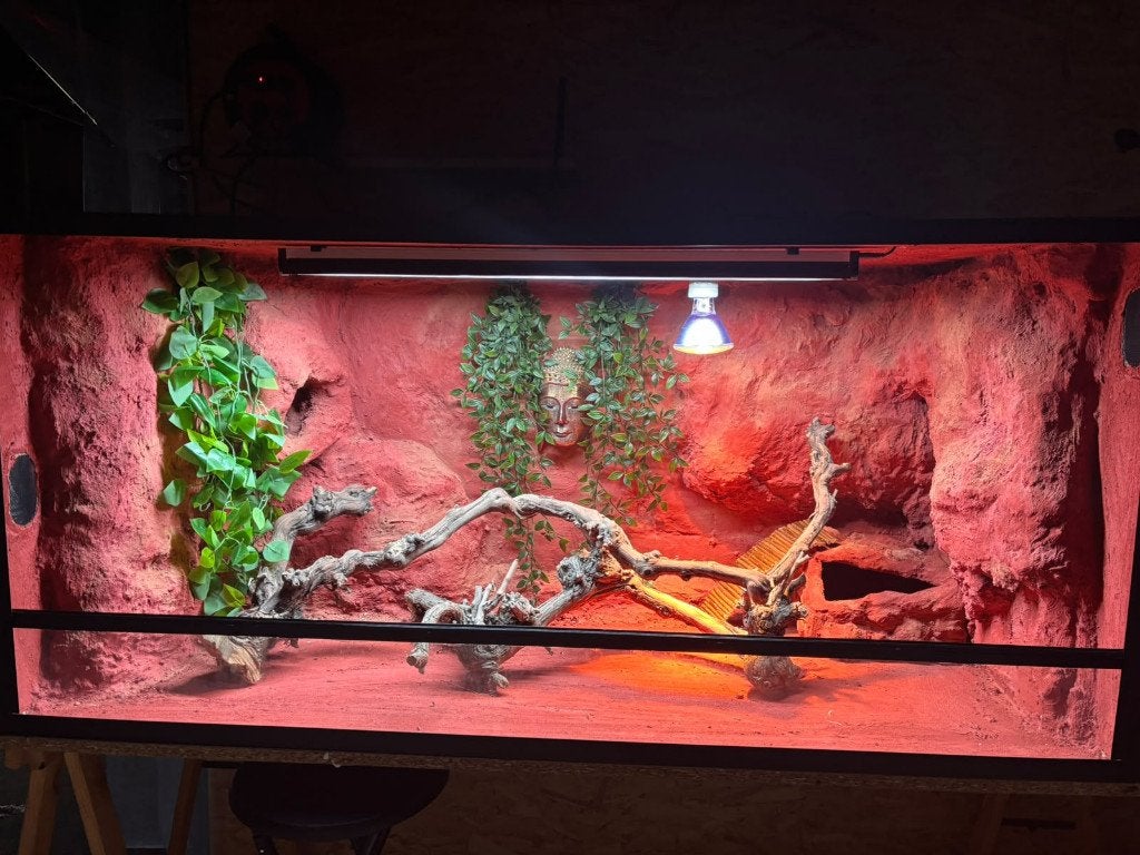 "Zen" Woestijnterrarium NIEUW 150 x 70x70, Animaux & Accessoires, Enlèvement ou Envoi, Neuf, Terrarium ou Paludarium
