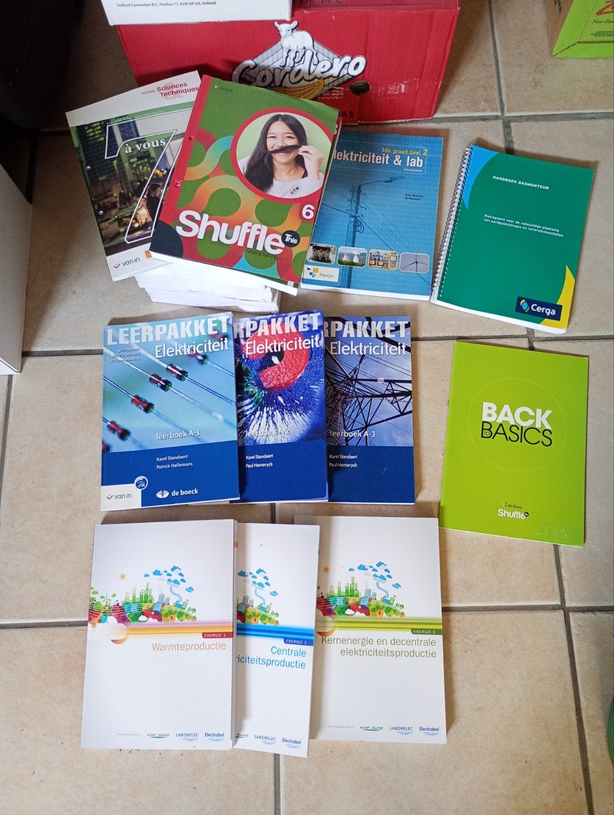 zeer uitgebreide boekenbundel - ELEKTROMECHANICA, Boeken, Ophalen, Overige vakken