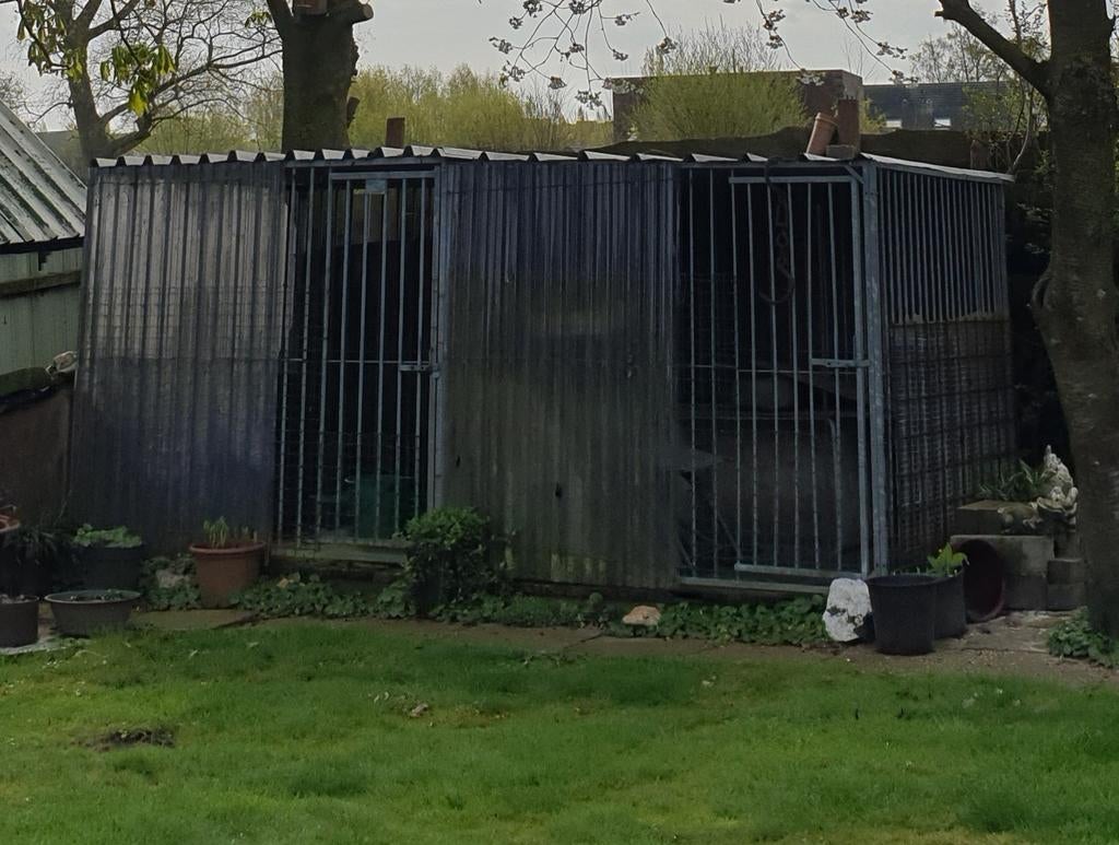 Hondenren, Dieren en Toebehoren, Ophalen, Hondenhok