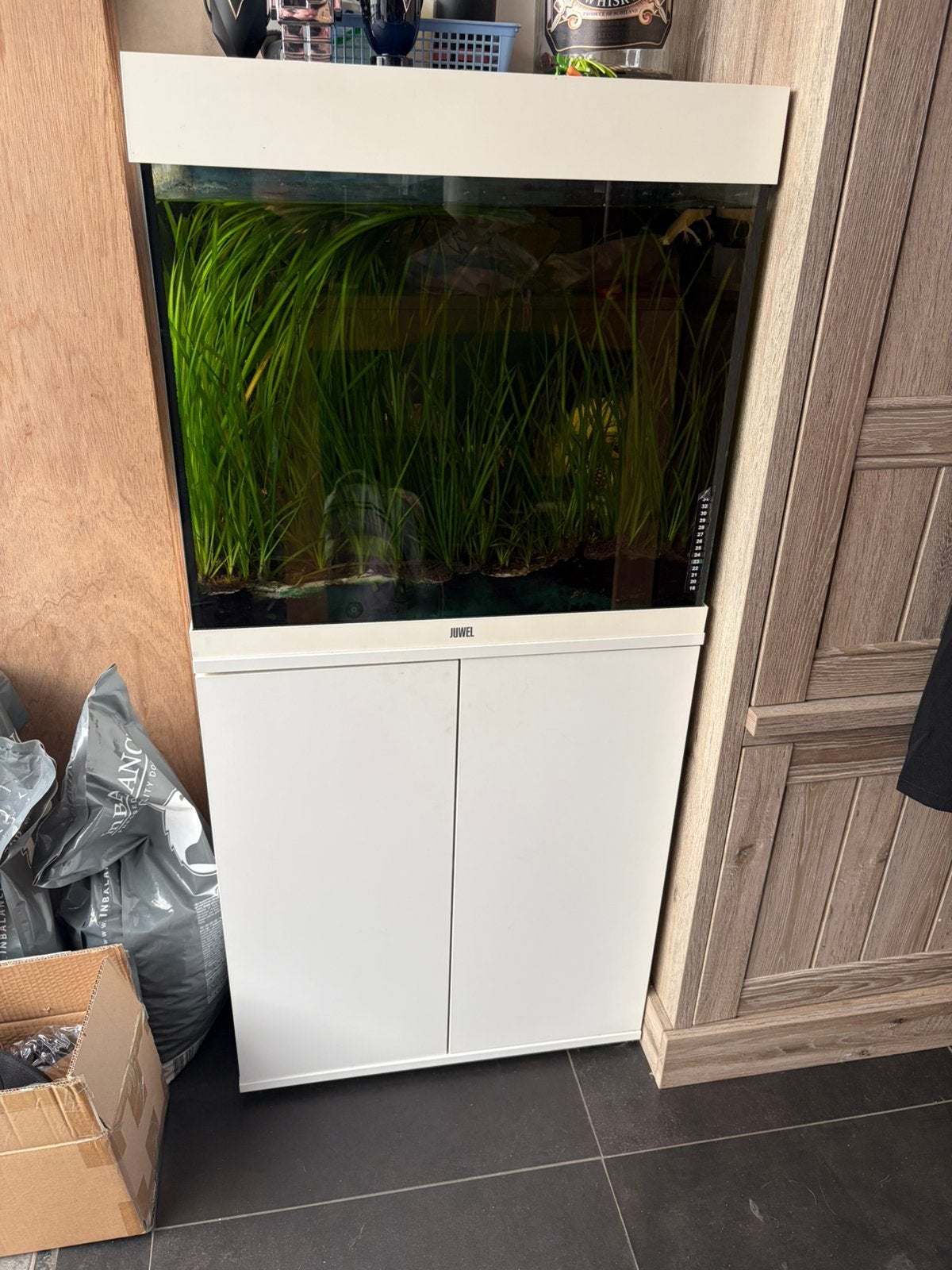 Juwel 125liter weg wegens tijdgebrek, Pompe, Comme neuf, Enlèvement, Juwel