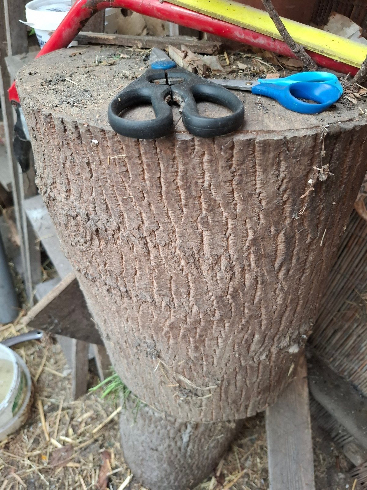 droog brandhout te koop, al het hout meenemen, Ophalen