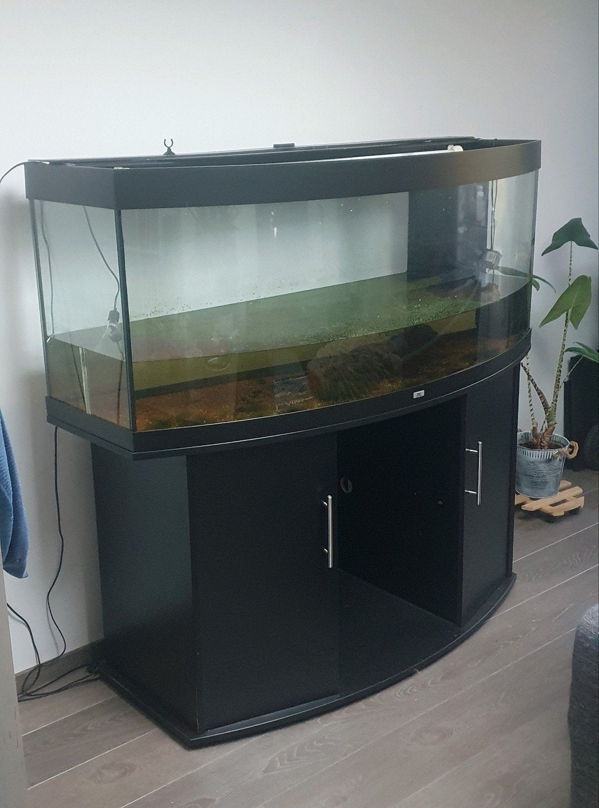 Aquarium juwel visio 450, Animaux & Accessoires, Poissons | Aquariums & Accessoires, Pompe, Aquarium vide, Enlèvement, Utilisé