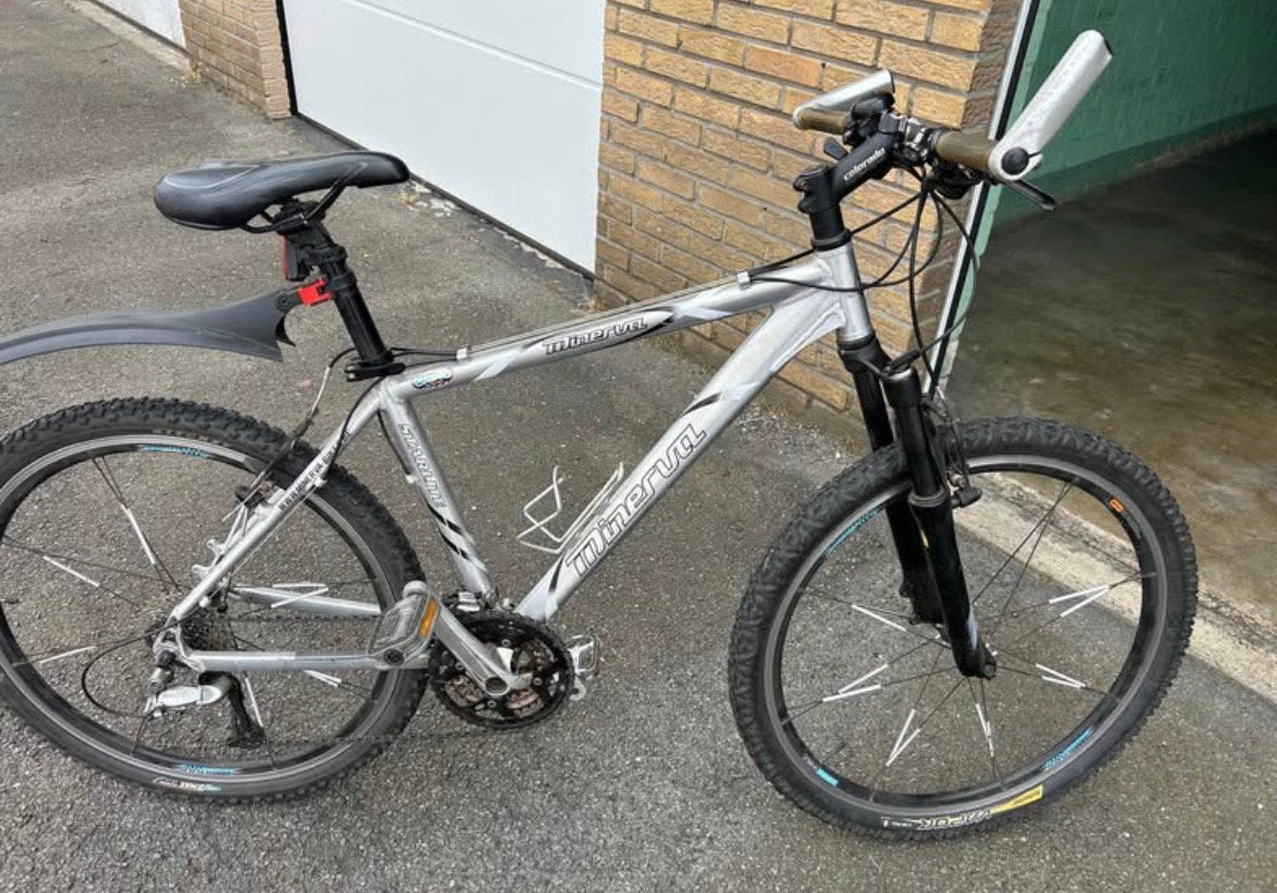 Mountainbike 26 inch, Fietsen en Brommers, Fietsen | Mountainbikes en ATB, Ophalen, Gebruikt, Heren
