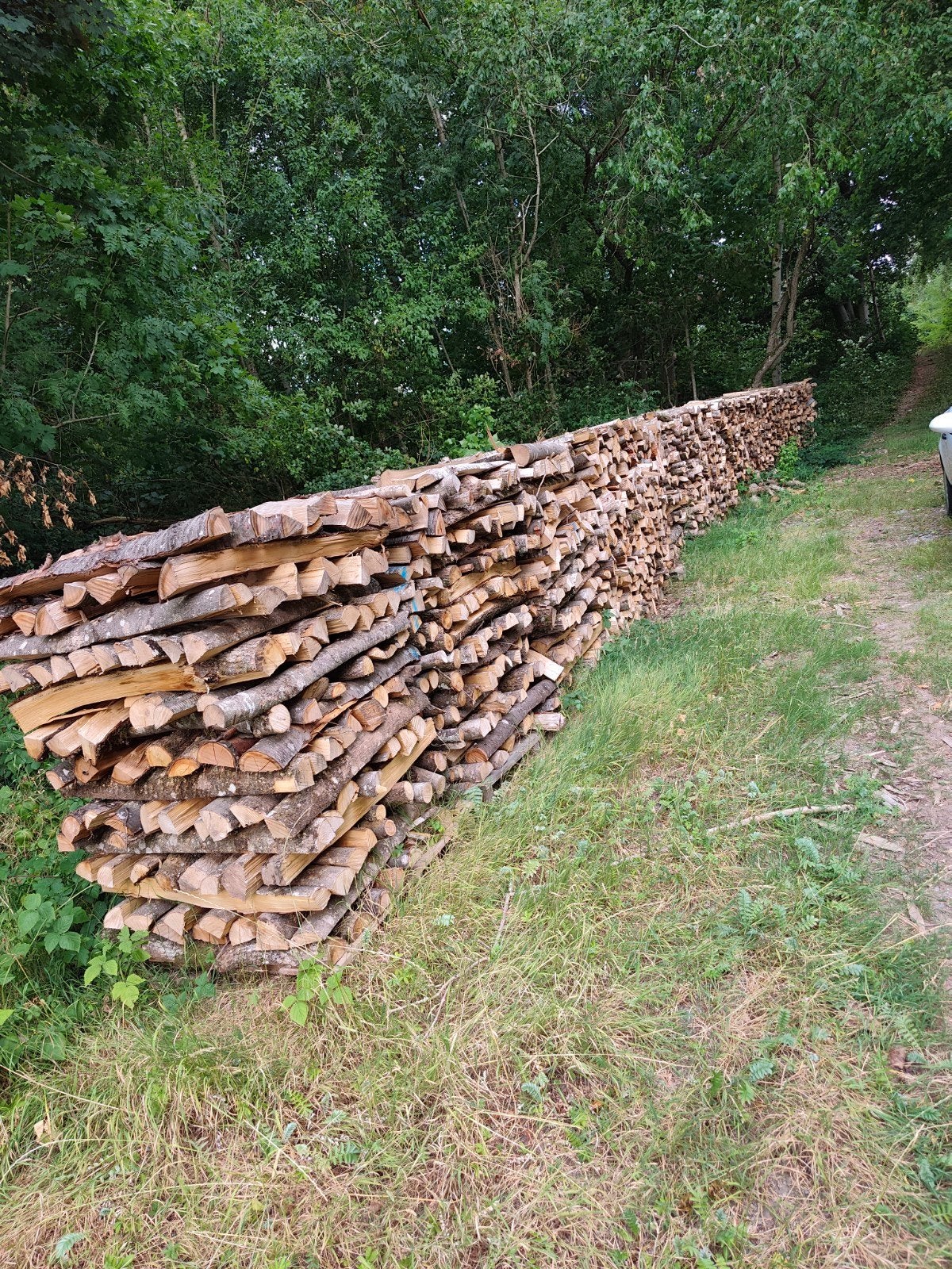 à vendre, Enlèvement ou Envoi, Chêne