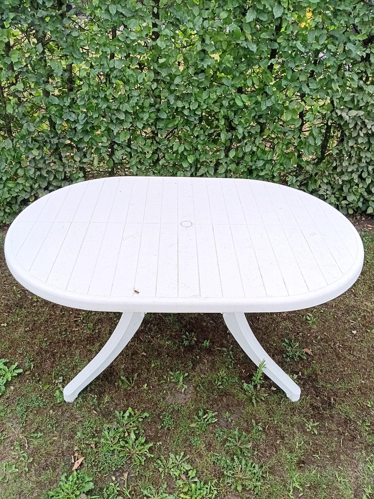 tuintafel, Ophalen, Zo goed als nieuw, Ovaal