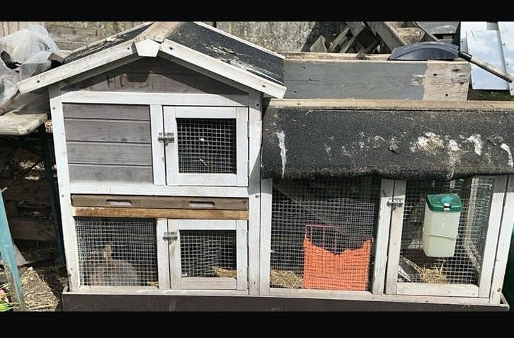 Konijnen hok, Dieren en Toebehoren, Ophalen, 60 tot 90 cm, Hok, Konijn