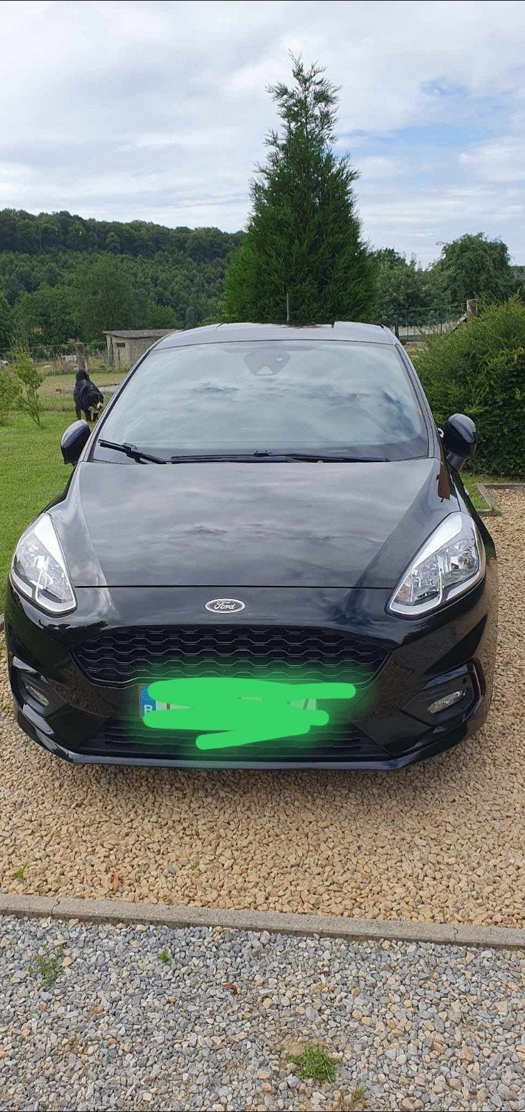 Ford Fiesta 1.0 EcoBoost ST-Line, Achat, Noir, Tissu, 103 kW