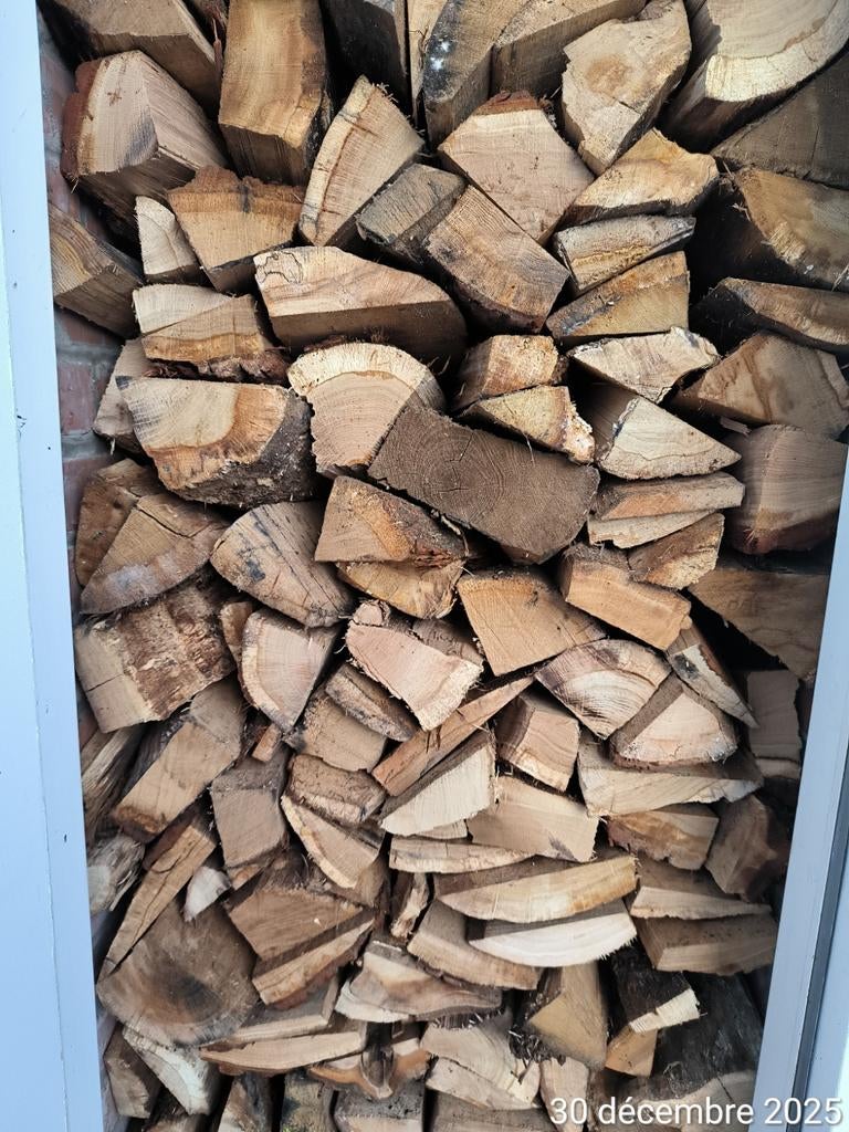 Bois de chauffage en chêne, Chêne