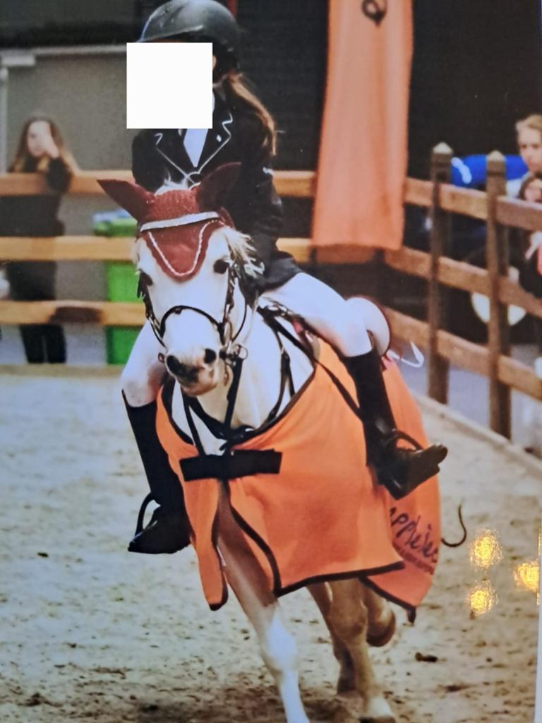 Lieve b pony, Animaux & Accessoires, Poneys