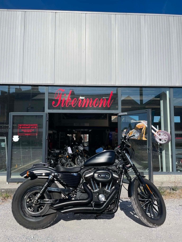 Harley Davidson Iron 883, 2 cilinders, Occasion, Bedrijf, 883 cc