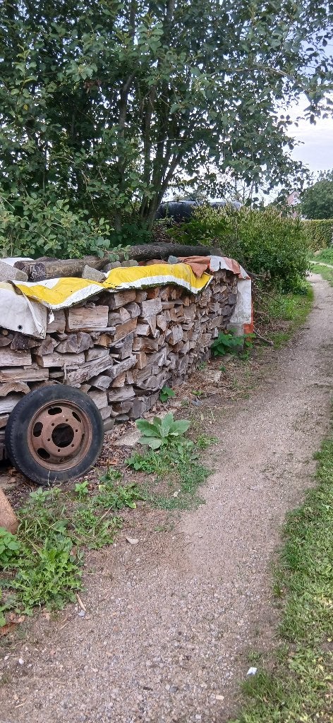 brandhout, 6 m³ ou plus, Enlèvement, Autres essences de bois, Bûches
