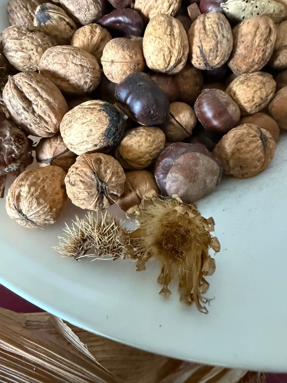 Herfst. Alles samen voor 1,5 euro.bloemschikken,decoratie, Ophalen
