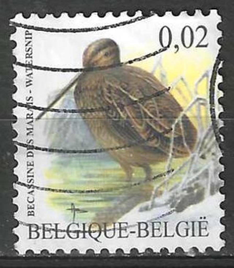 Belgie 2003 - Yvert 3192 /OBP 3199 - Buzin - Watersnip (ST), Verzenden, Gestempeld, Gestempeld, Voertuigen
