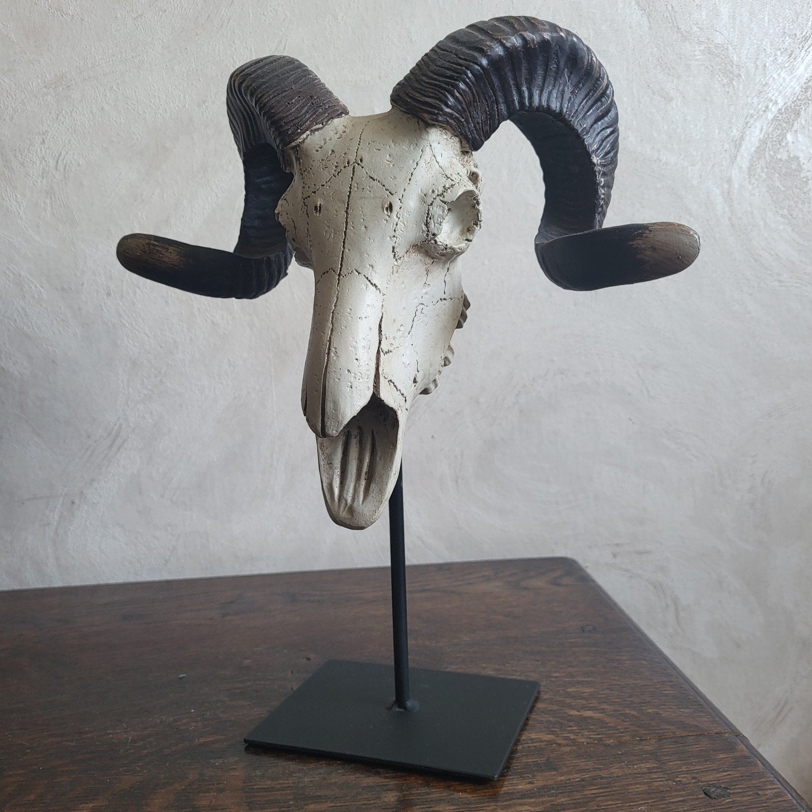 Decoratieve rammenschedel op metalen standaard (Replica), Antiquités & Art, Art | Objets design, Enlèvement, Plastique