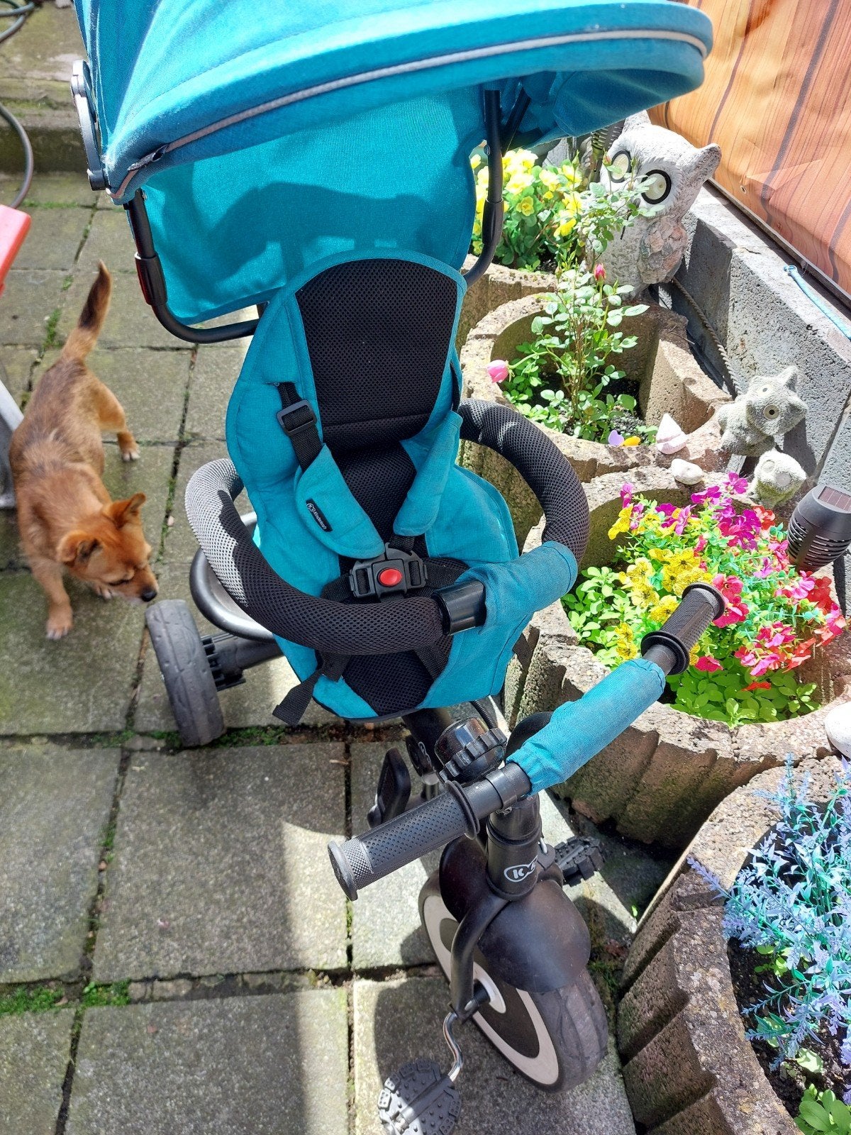 Tricycle évolutif kinderkraft aston turquoise, Enlèvement