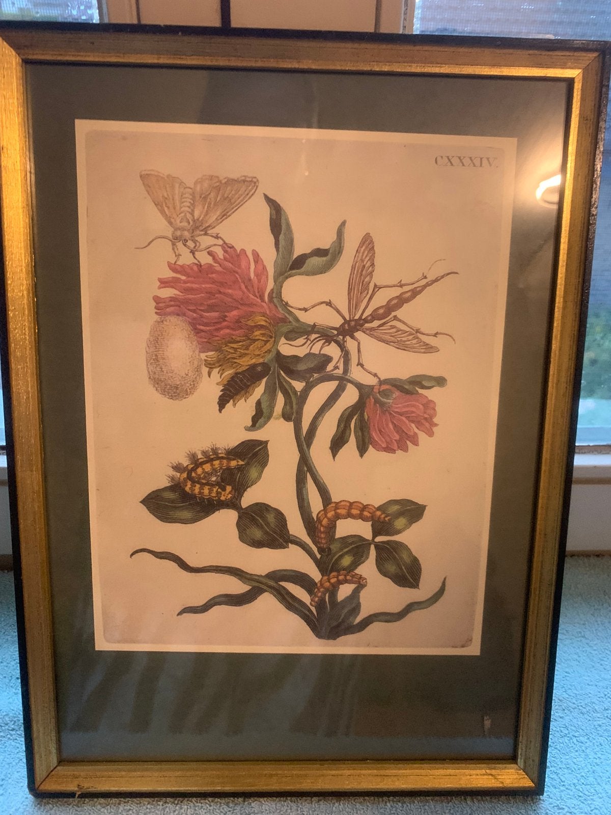 Kaders, Ophalen